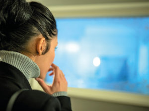 Contact funeral services in Hérault and Aude to organize an English-speaking funeral with cremation.